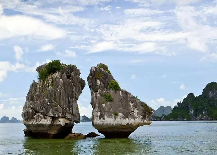 Khu nghỉ mát Tuan Chau 4*